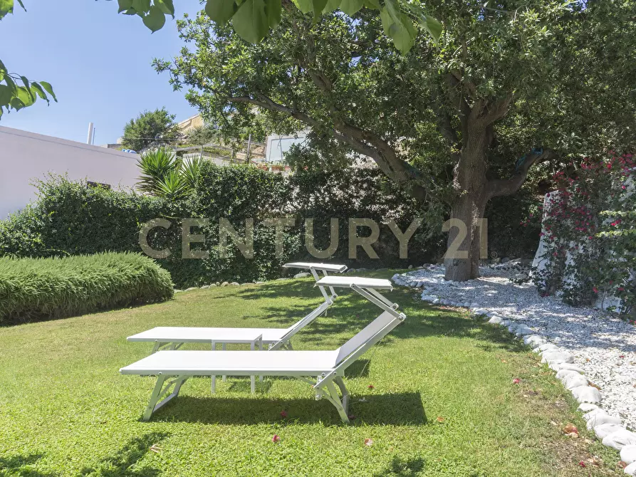 Immagine 24 di Villa in vendita  in Via Staglio 23 a Ponza