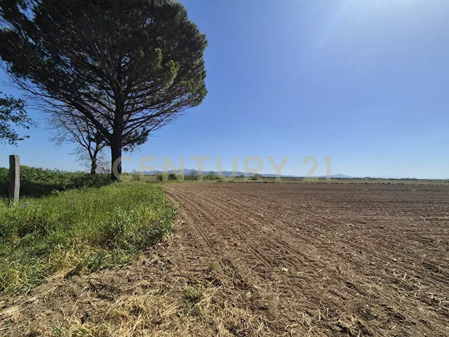 Immagine 10 di Terreno agricolo in vendita  in loc. Badia Vecchia a Castiglione Della Pescaia