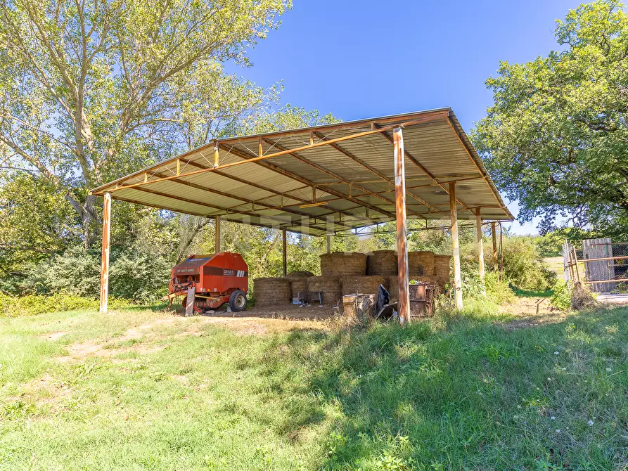 Immagine 23 di Rustico / casale in vendita  in località san quirichello a Barbarano Romano