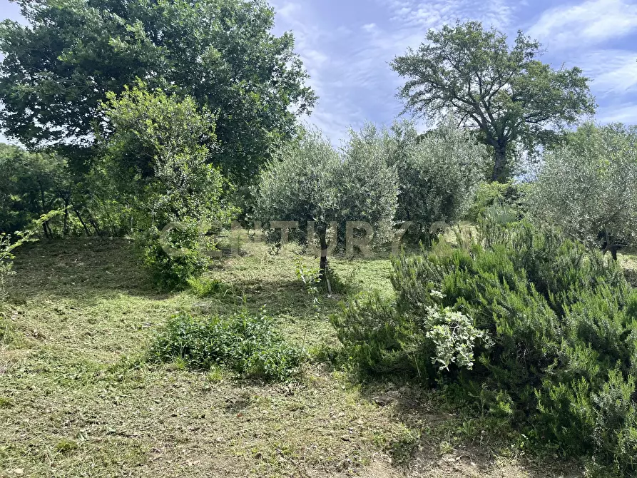 Immagine 13 di Porzione di casa in vendita  in Strada Marco Pantani 49 a Manciano