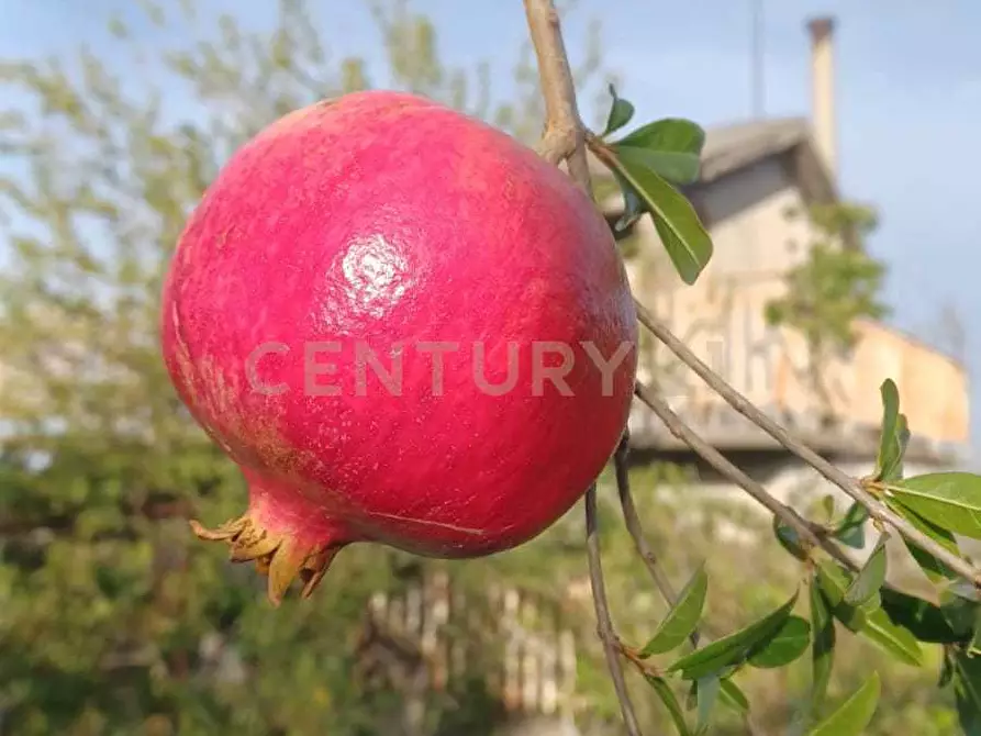 Immagine 3 di Terreno agricolo in vendita  in Contrada Agnelleria a Belpasso