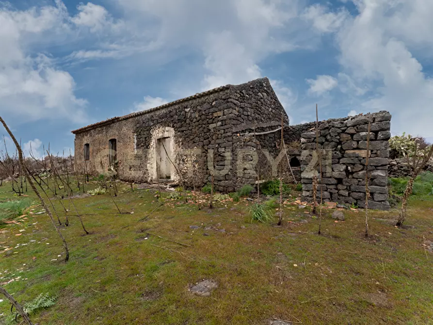 Immagine 19 di Terreno agricolo in vendita  in Via Santa Maria di Licodia a Belpasso
