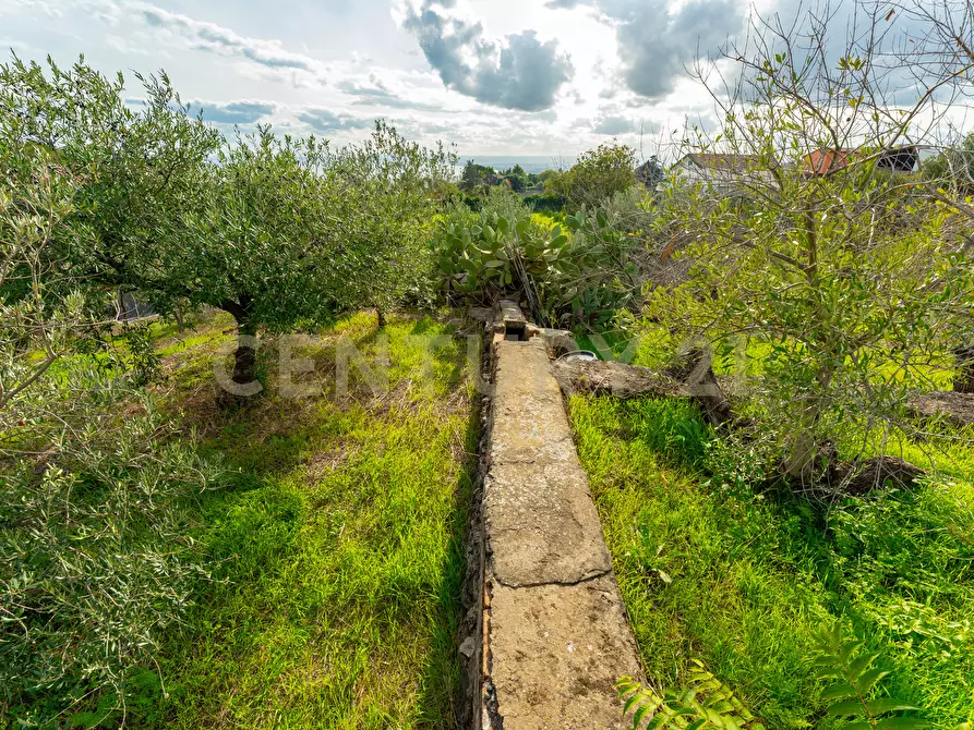 Immagine 28 di Terreno agricolo in vendita  in Via Cerza 35 a San Gregorio Di Catania