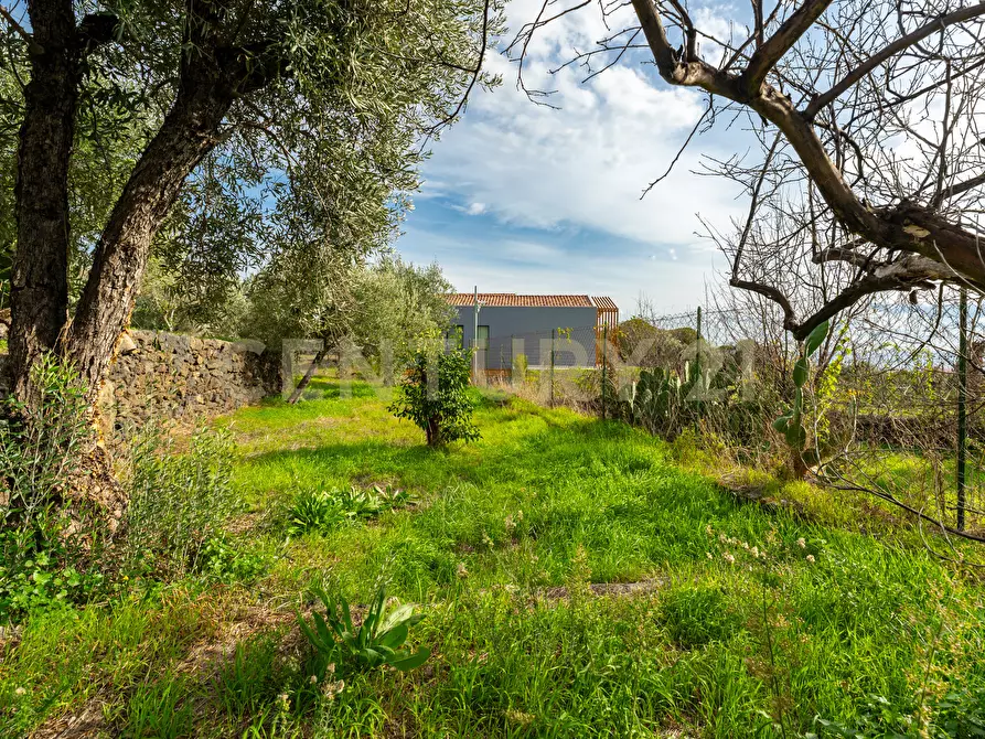 Immagine 19 di Terreno agricolo in vendita  in Via Cerza 35 a San Gregorio Di Catania