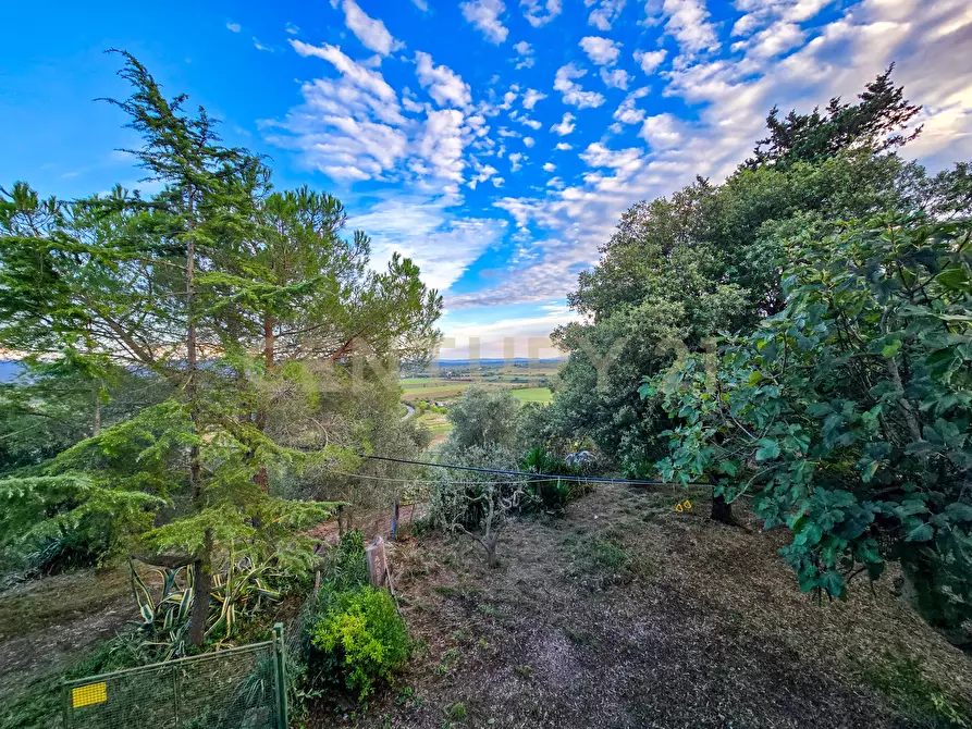 Immagine 20 di Rustico / casale in vendita  in Strada Provinciale Lupo a Gavorrano