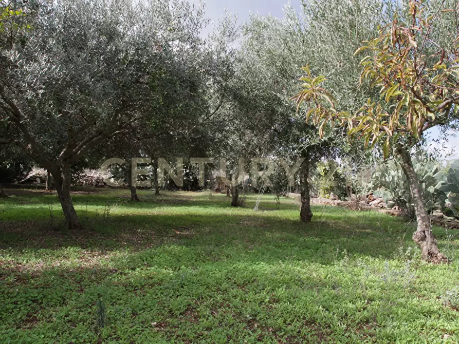Immagine 22 di Villa in vendita  in Ctr. Pirato Cava Maria 37 a Modica