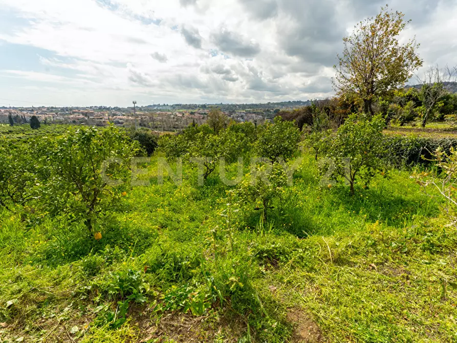 Immagine 28 di Terreno agricolo in vendita  in via giuseppe zinghirino 1 a Giarre