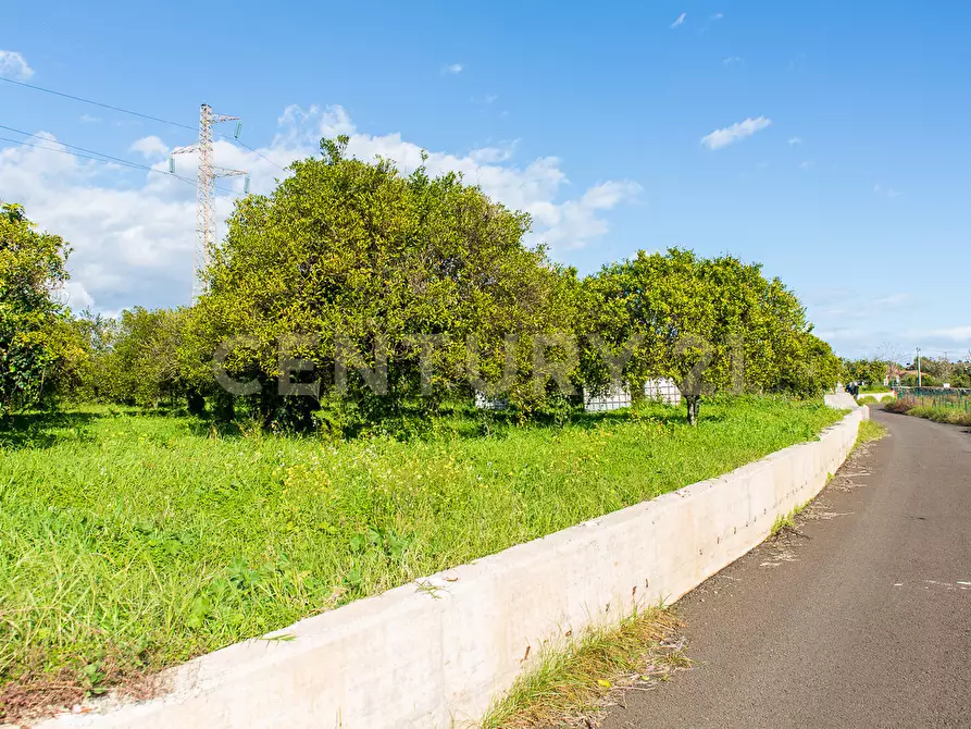 Immagine 26 di Terreno agricolo in vendita  in Via San Piero Patti 108 a Acireale