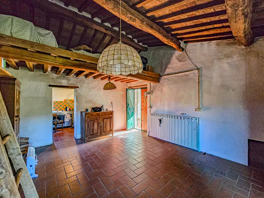 Immagine 16 di Rustico / casale in vendita  in monte labbro a Arcidosso