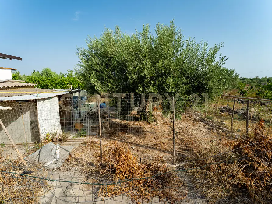 Immagine 38 di Casa indipendente in vendita  in Strada Statale 194 a Carlentini