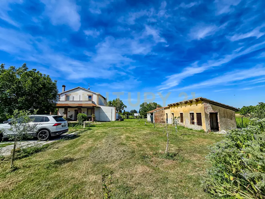 Immagine 3 di Rustico / casale in vendita  in Strada Comunale di Montalcino 65 a Castiglione Della Pescaia