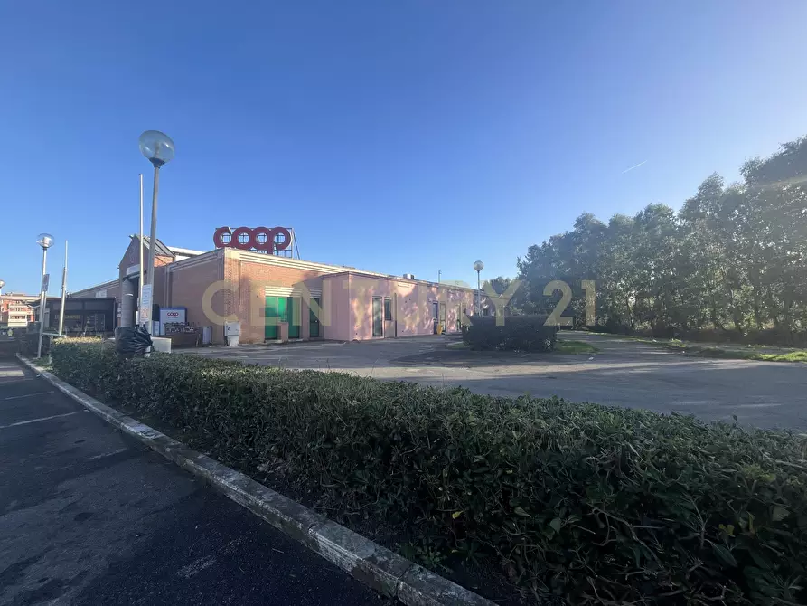 Immagine 9 di Locale commerciale in vendita  in Via Ponte Giorgini a Castiglione Della Pescaia