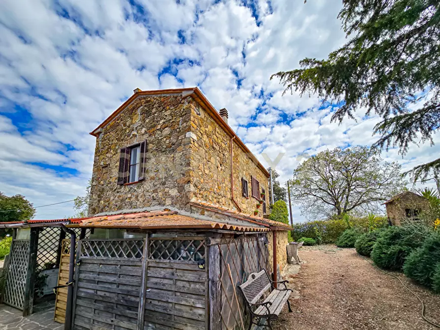 Immagine 10 di Rustico / casale in vendita  in podere poderina 5 a Civitella Paganico