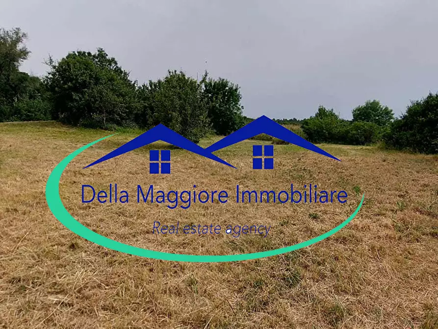 Immagine 42 di Porzione di casa in vendita  in via di quercianella a Livorno