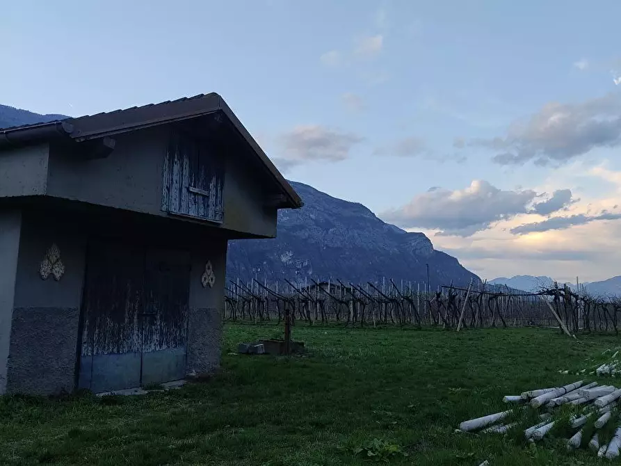 Immagine 2 di Magazzino in vendita  a Aldeno