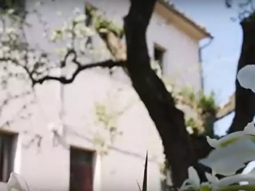 Immagine 22 di Rustico / casale in vendita  in CASTEL LEONE DI SUASA a Ostra Vetere