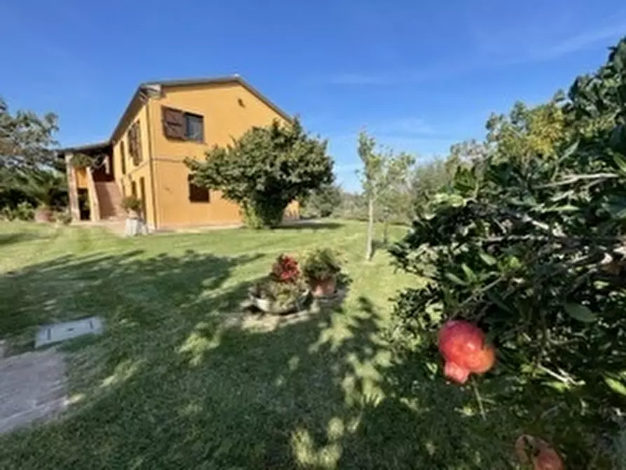 Immagine 30 di Rustico / casale in vendita  in via monte cerro a Offagna