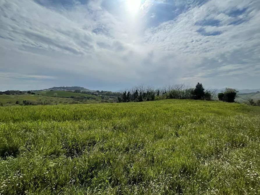 Immagine 10 di Rustico / casale in vendita  in Frazione Poggio a Ancona
