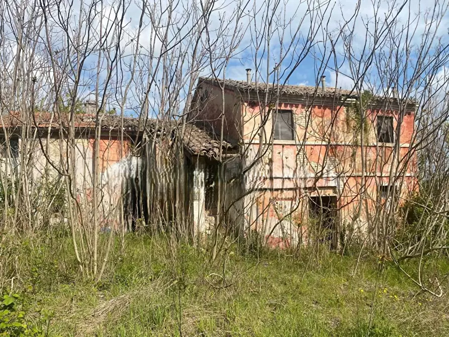 Immagine 3 di Rustico / casale in vendita  in contrada frasca a Agugliano