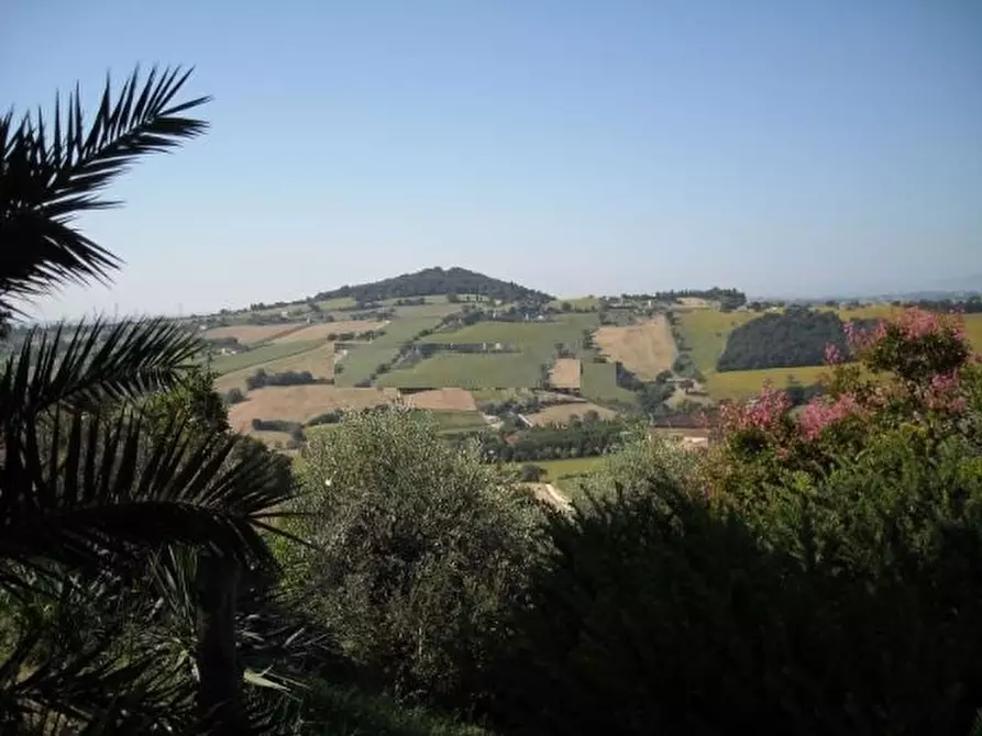 Immagine 16 di Villa in vendita  in VIA chiaravallese a Osimo