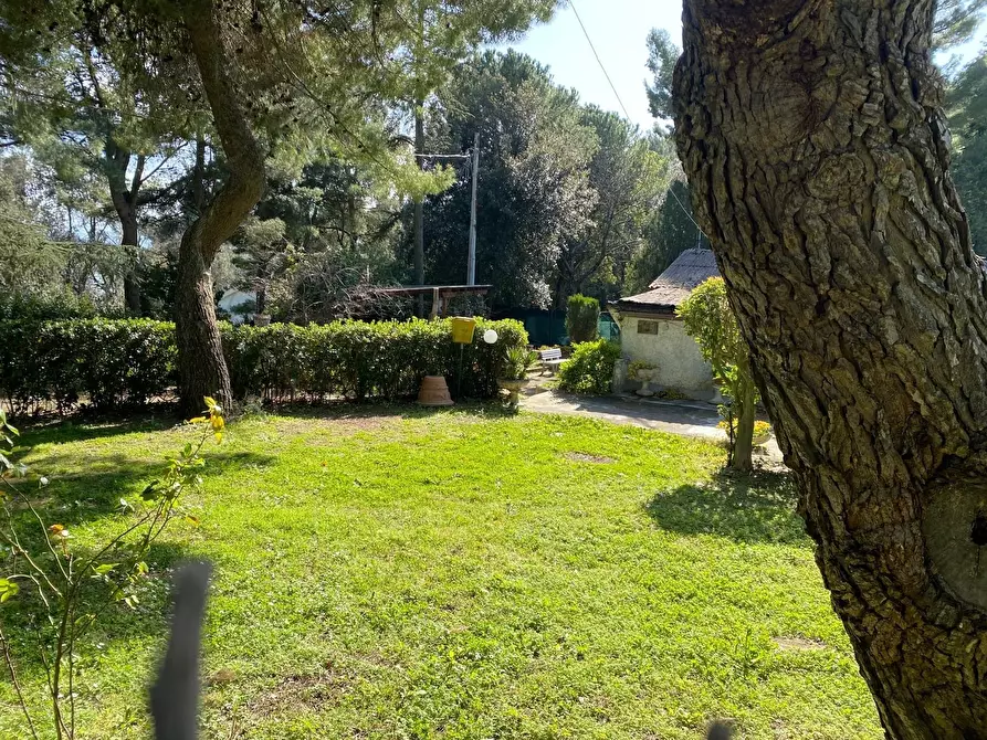 Immagine 25 di Rustico / casale in vendita  in Massignano a Ancona