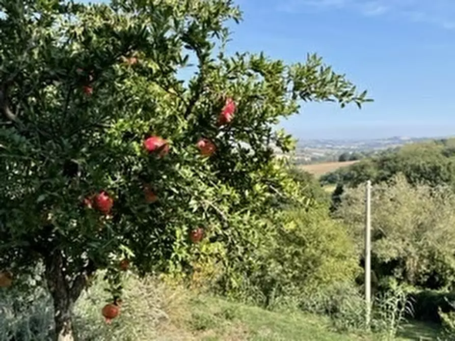 Immagine 32 di Rustico / casale in vendita  in via monte cerro a Offagna
