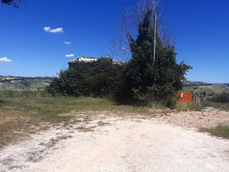 Immagine 5 di Rustico / casale in vendita  in Filottrano a Filottrano