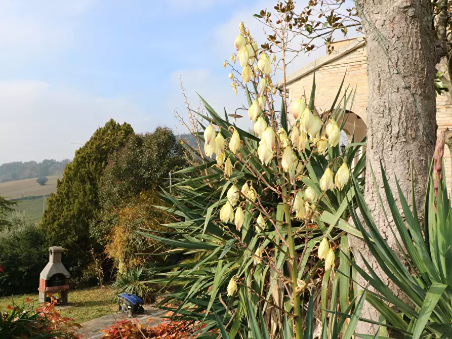 Immagine 32 di Villa in vendita  in VIA chiaravallese a Osimo