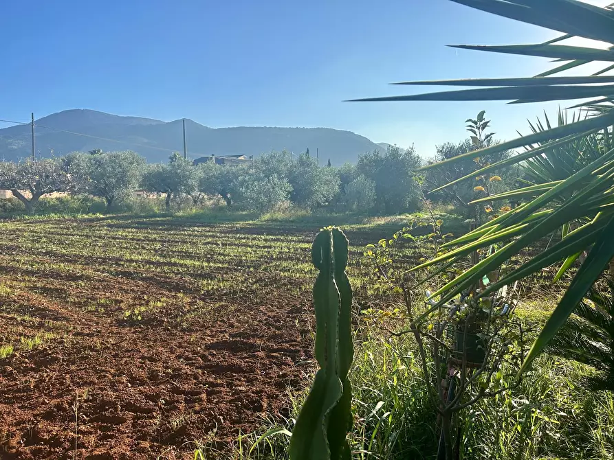 Immagine 1 di Terreno agricolo in vendita  a Terracina