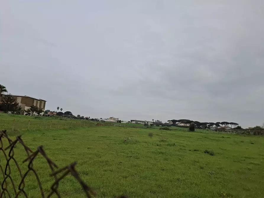 Immagine 4 di Terreno agricolo in vendita  in Via del Pino a Nettuno