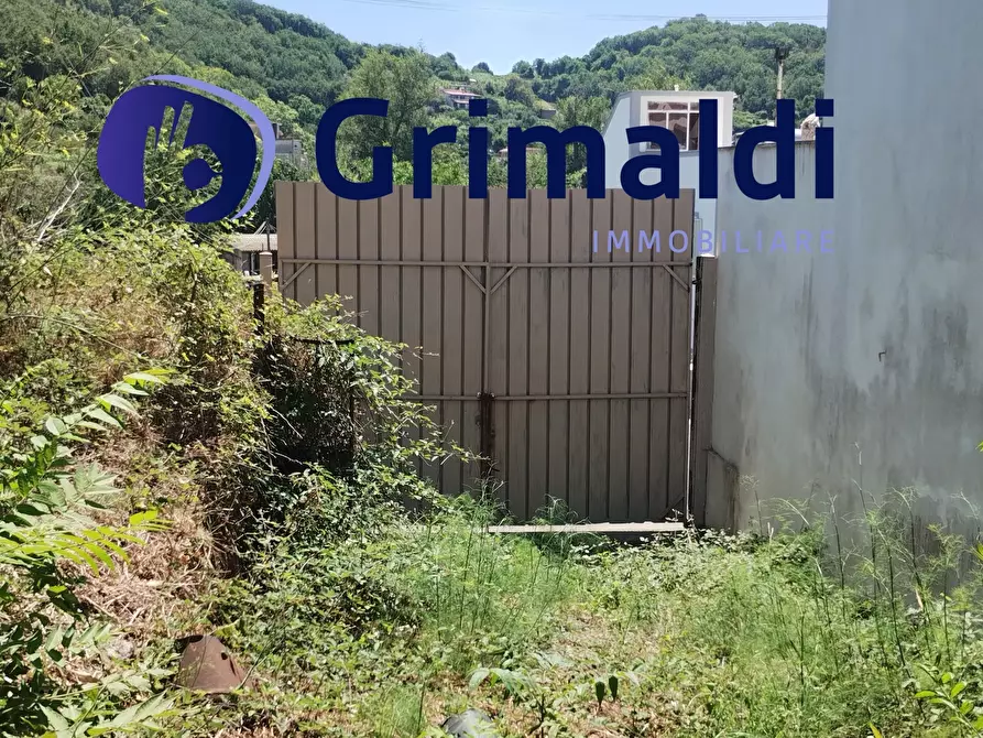 Immagine 13 di Terreno agricolo in vendita  in Corsa Regina Elena SNC a Barano D'ischia