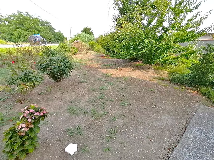 Immagine 8 di Palazzo in vendita  in Strada Provinciale ex Strada Statale 596 dei Cairo 14 a Vinzaglio