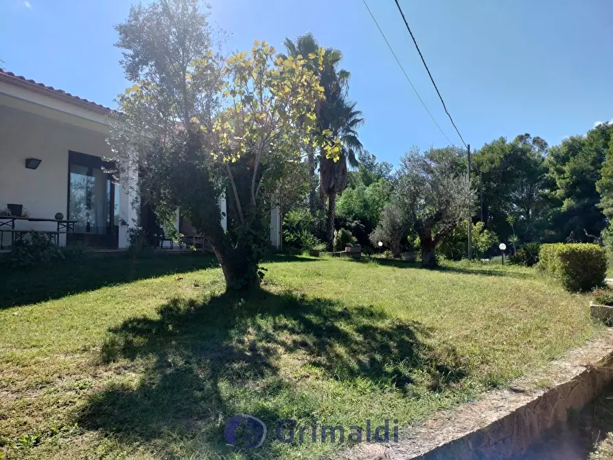 Immagine 4 di Villa in vendita  in strada provinciale 39 a Maglie