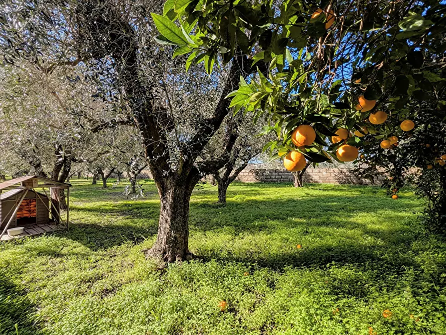 Immagine 18 di Villa in vendita  in Via Granieri 56 a Nettuno