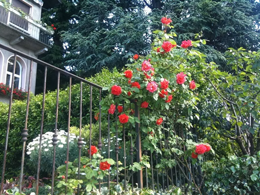 Immagine 7 di Quadrilocale in vendita  a Brunate