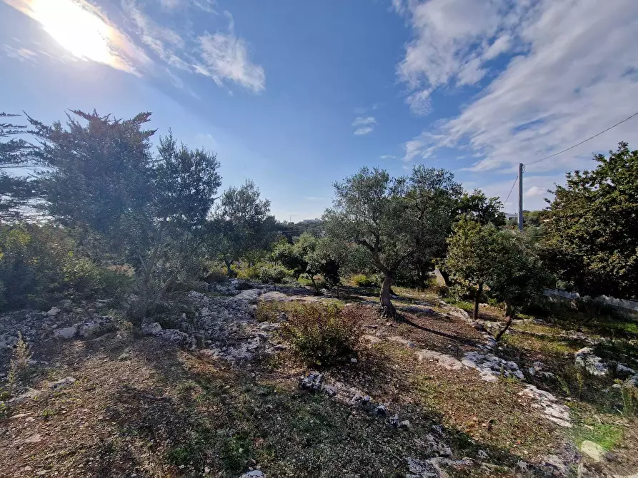 Immagine 5 di Casa indipendente in vendita  a Ostuni