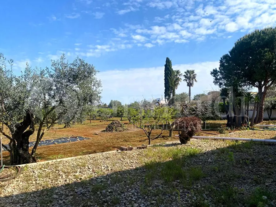Immagine 15 di Villa in vendita  in strada provinciale 361 a Gallipoli