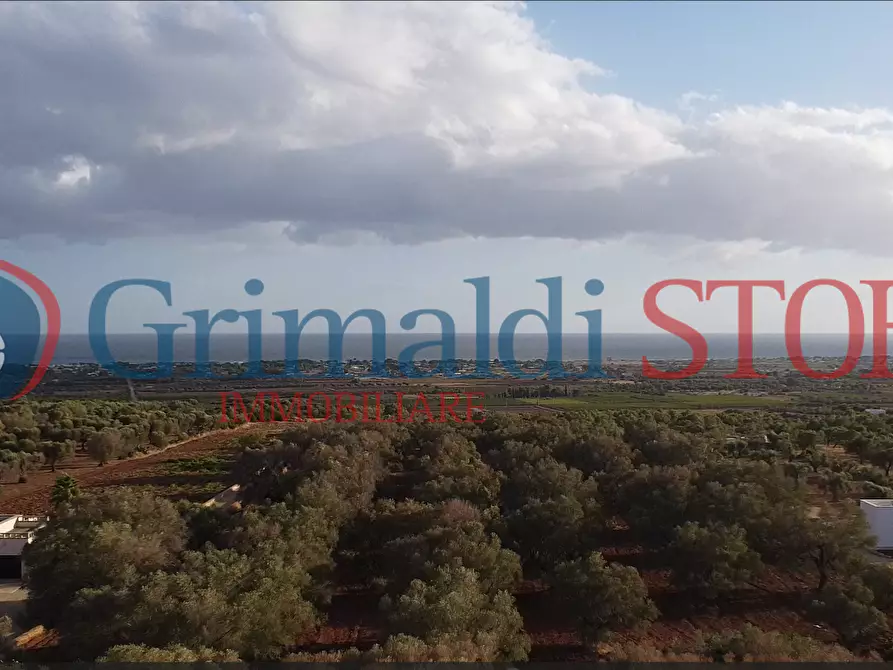 Immagine 9 di Terreno agricolo in vendita  a Manduria