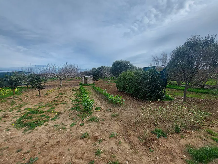 Immagine 18 di Rustico / casale in vendita  in Strada per Baccatani 26 a Brindisi