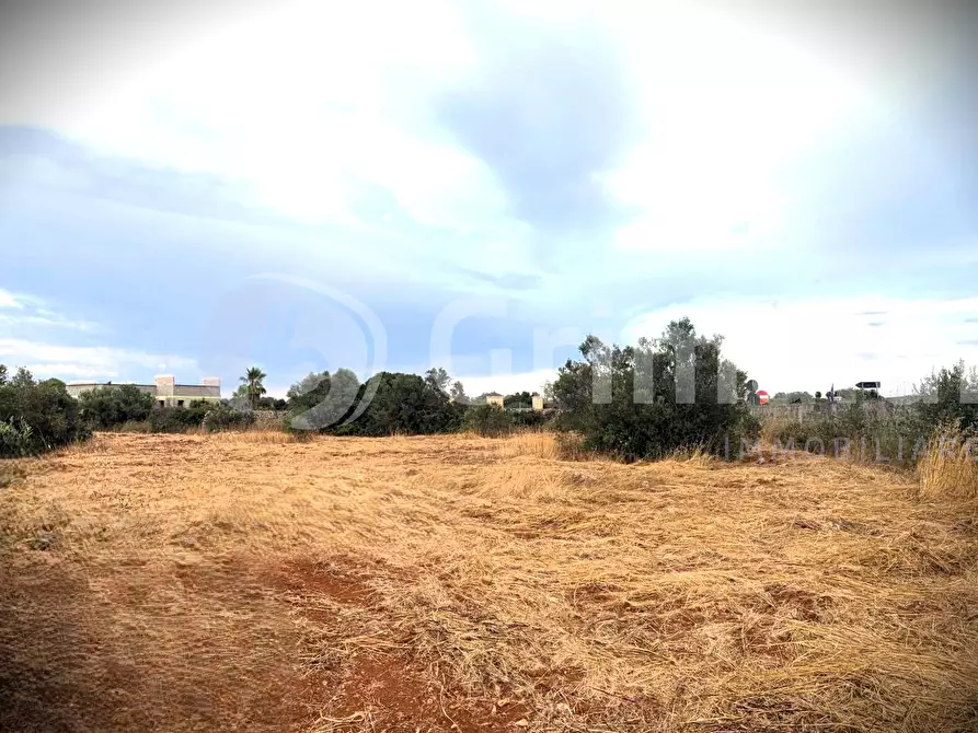 Immagine 4 di Terreno agricolo in vendita  in Strada Statale 274 a Gallipoli