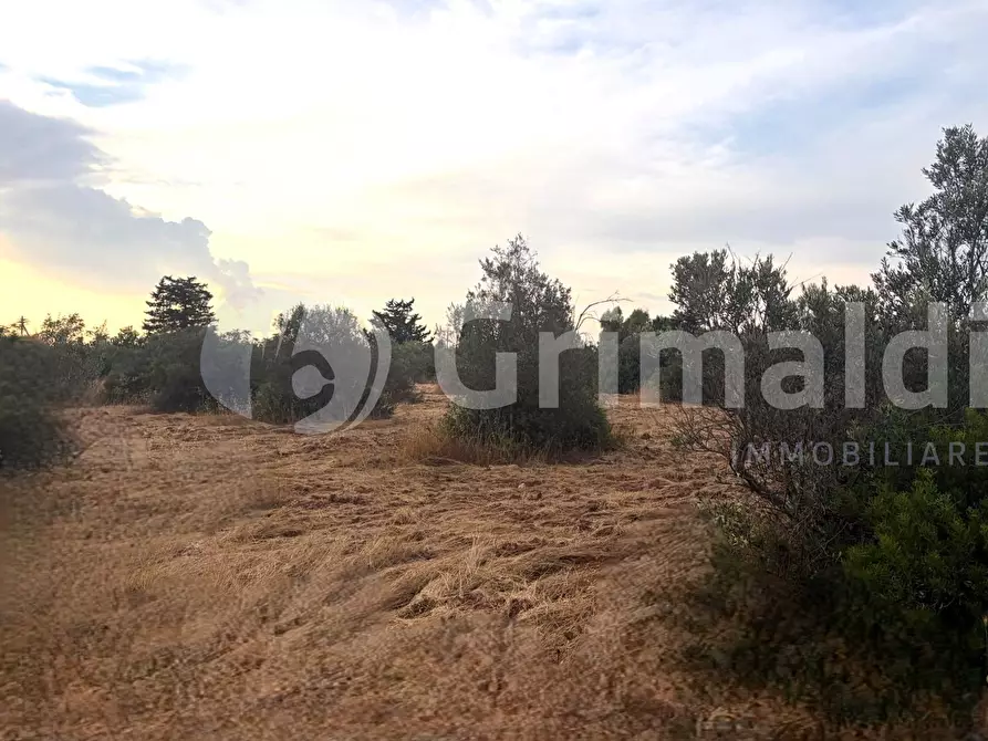 Immagine 15 di Terreno agricolo in vendita  in Strada Statale 274 a Gallipoli