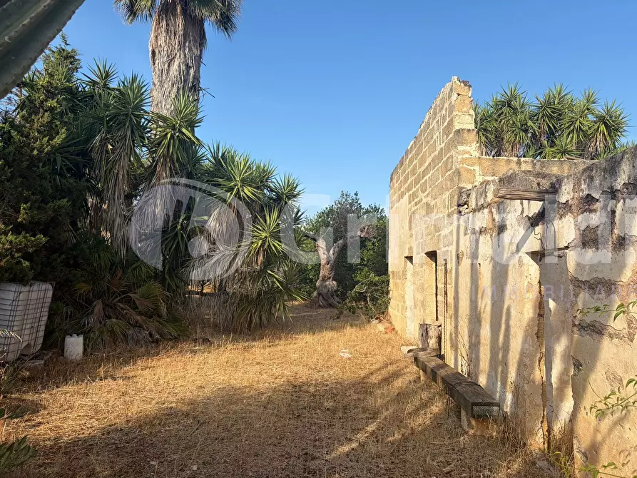 Immagine 10 di Terreno agricolo in vendita  in Contrada Coline a Alezio