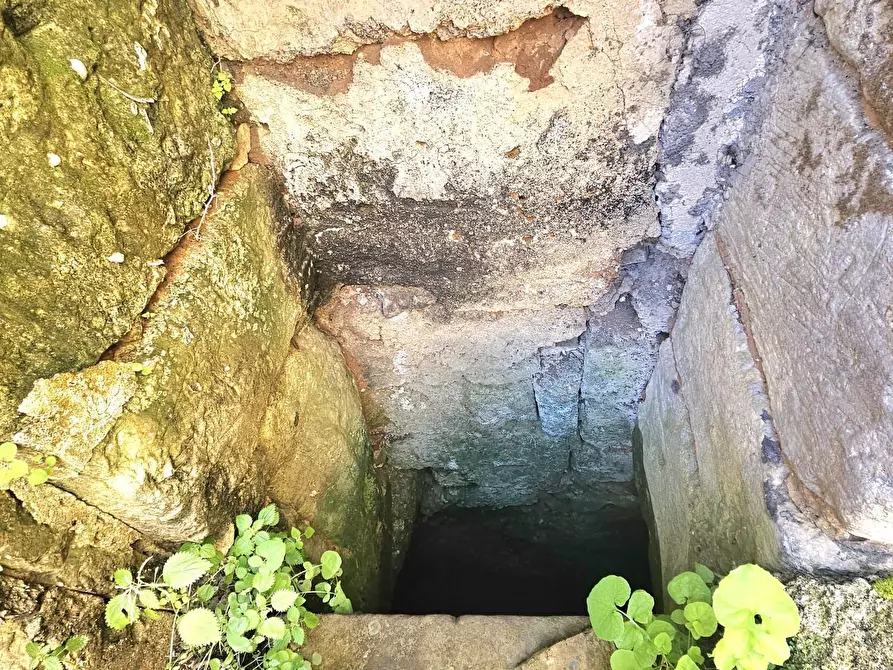 Immagine 13 di Casa indipendente in vendita  in Via Vittorio Emanuele 25 a Castri Di Lecce