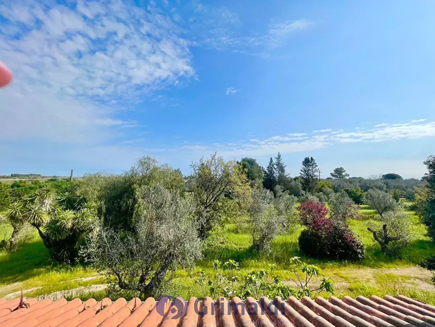 Immagine 9 di Villa in vendita  in strada provinciale 39 a Maglie