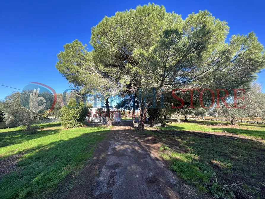 Immagine 38 di Rustico / casale in vendita  a San Vito Dei Normanni