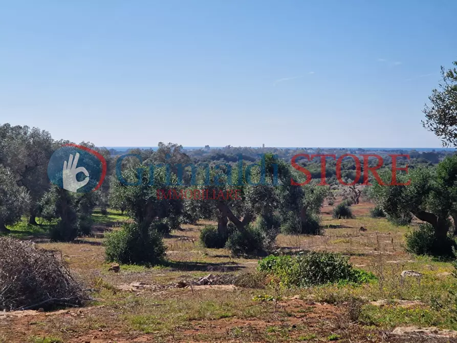 Immagine 12 di Casa indipendente in vendita  a Porto Cesareo