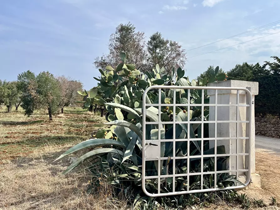 Immagine 24 di Rustico / casale in vendita  a Carovigno