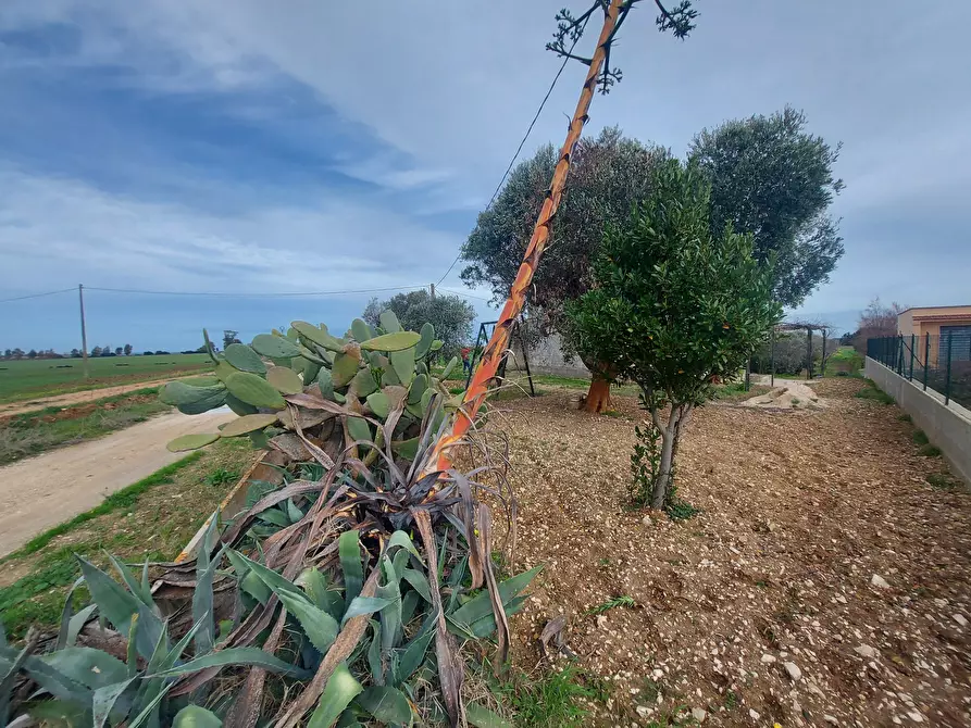 Immagine 27 di Rustico / casale in vendita  in Strada per Baccatani 26 a Brindisi