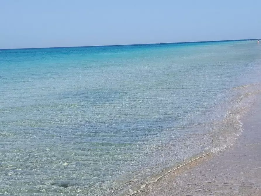 Immagine 4 di Pentalocale in vendita  in Via Giovanni Battista Tiepolo 53 a Ugento