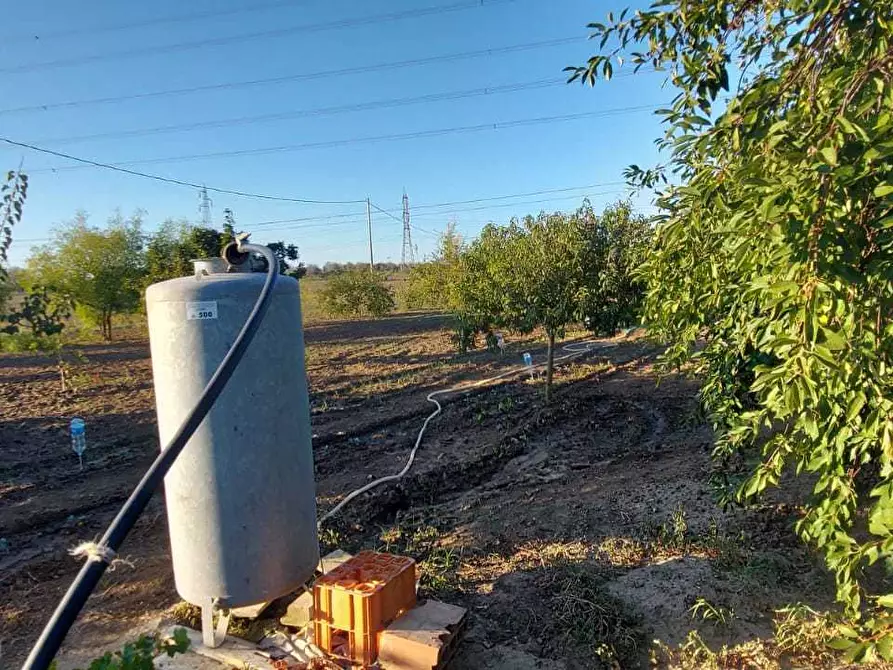 Immagine 9 di Villa in vendita  in Contrada Palmarini a Brindisi